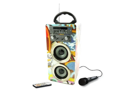 Pure Acoustics karaoke systeem MCP-20GRA