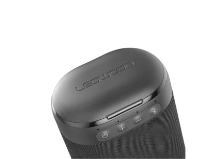 LEDWOOD bluetooth speaker met in-ears LD-ST-6-BLK